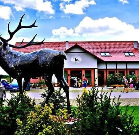 Pensjonat I Restauracja Hubertowka มิลิชซ์ ภายนอก รูปภาพ