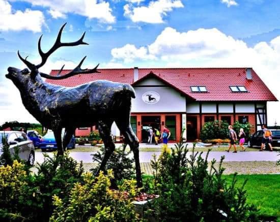 Pensjonat I Restauracja Hubertowka มิลิชซ์ ภายนอก รูปภาพ
